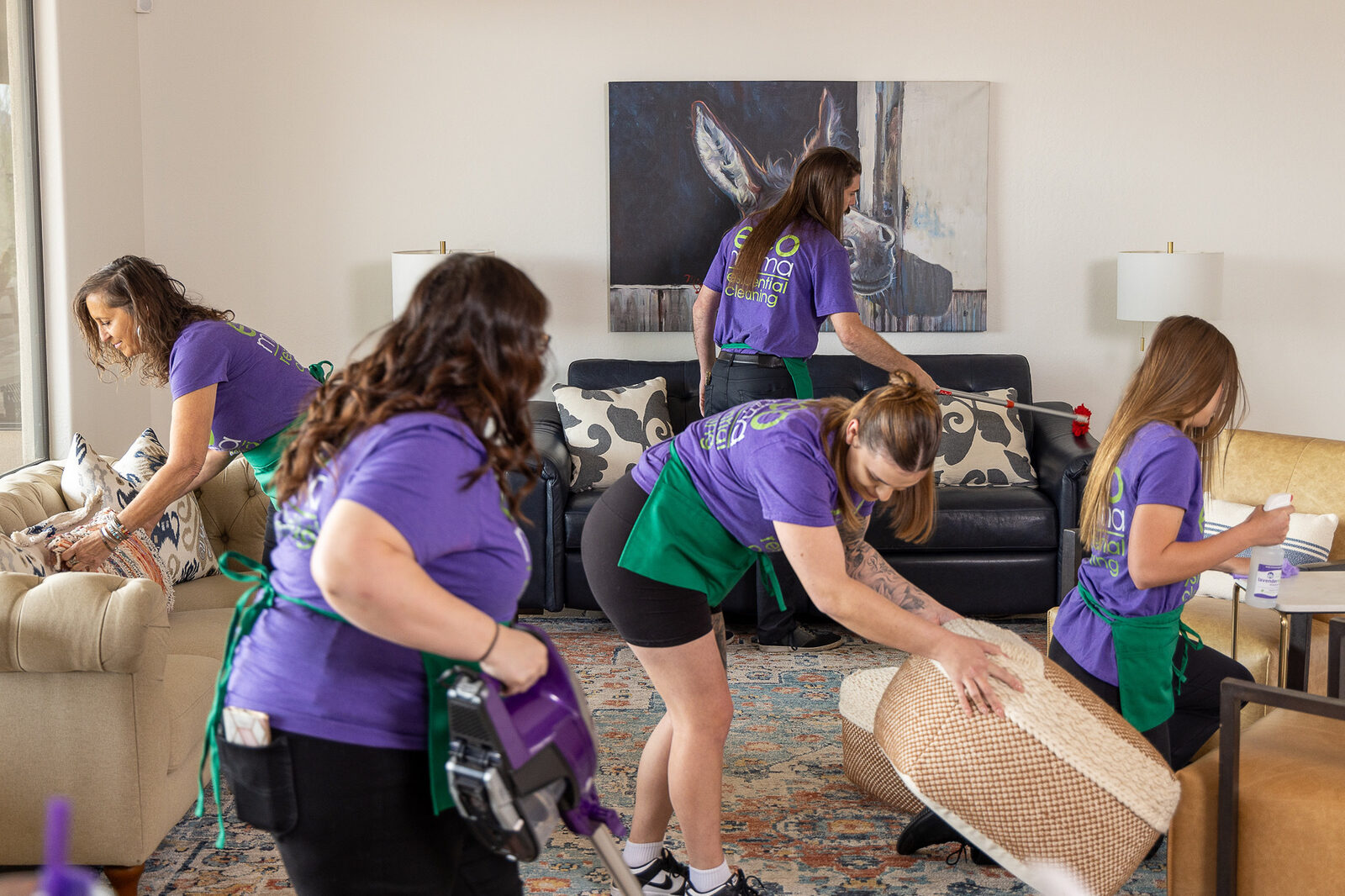 Scottsdale Az Deep Cleaning Living Room Team